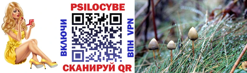Псилоцибиновые грибы Psilocybine cubensis  Купить  Сухой Лог 